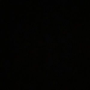 Meet your Posher, Noah